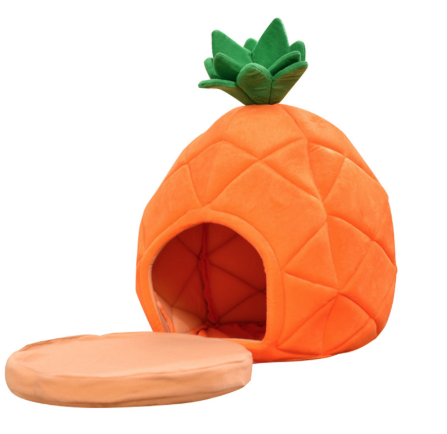 Fruit Pet Bed